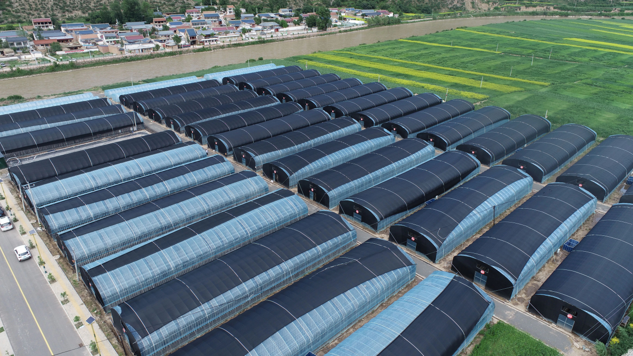 扶贫012.png 扶贫012.png