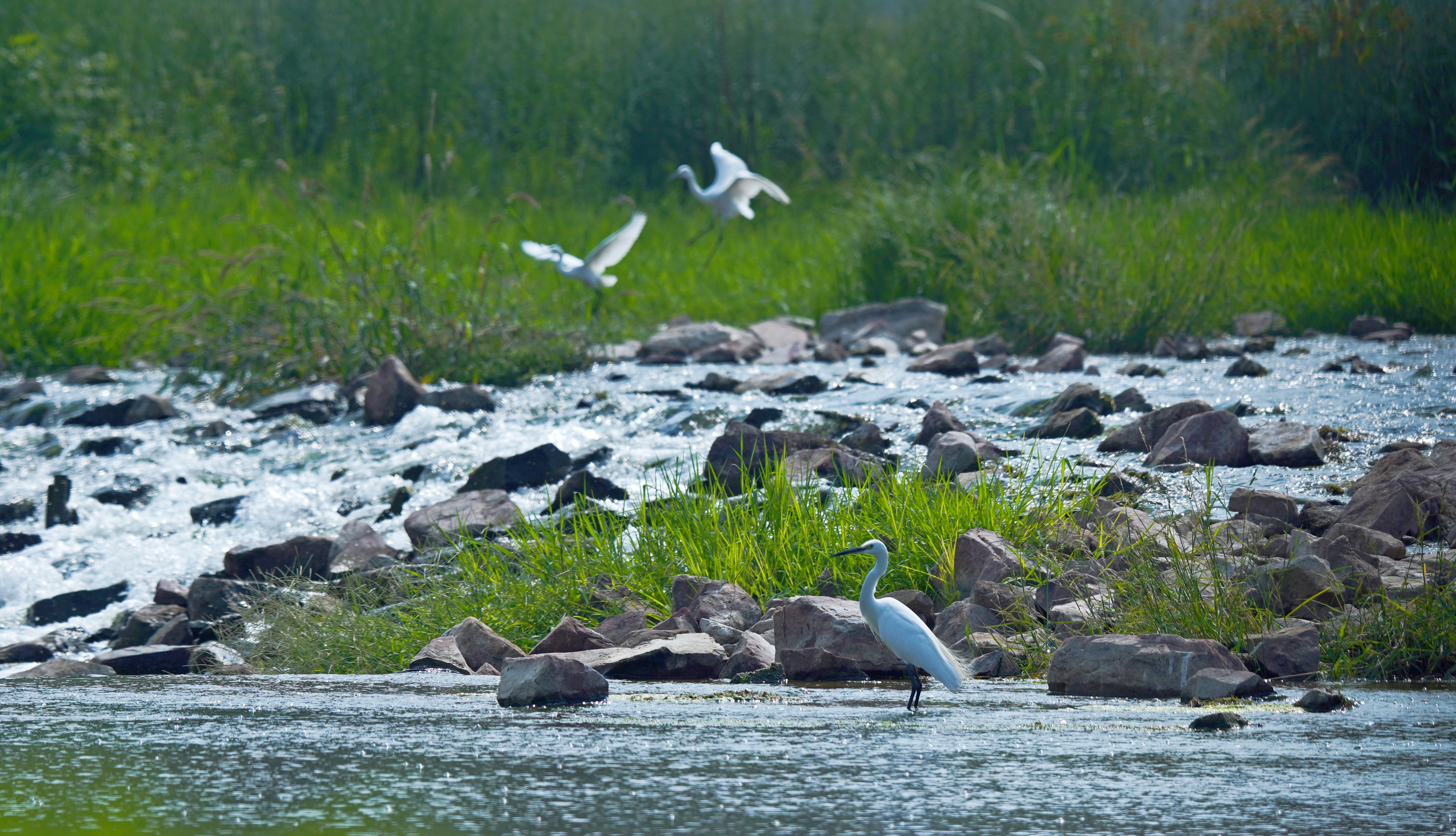 微信图片_20240816111750.jpg 微信图片_20240816111750.jpg