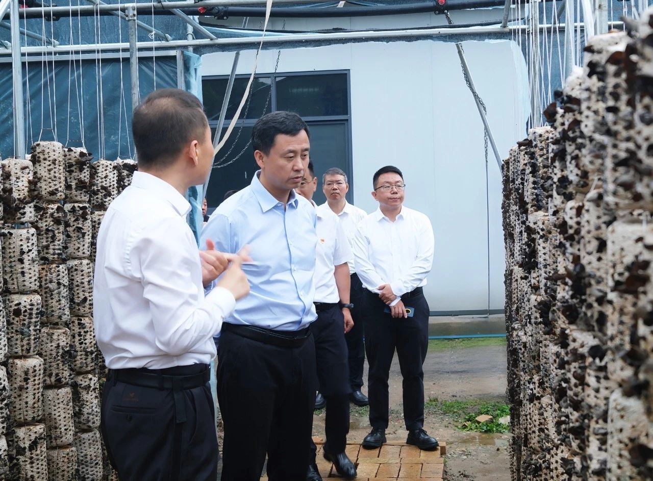 文兵111.jpg 文兵111.jpg