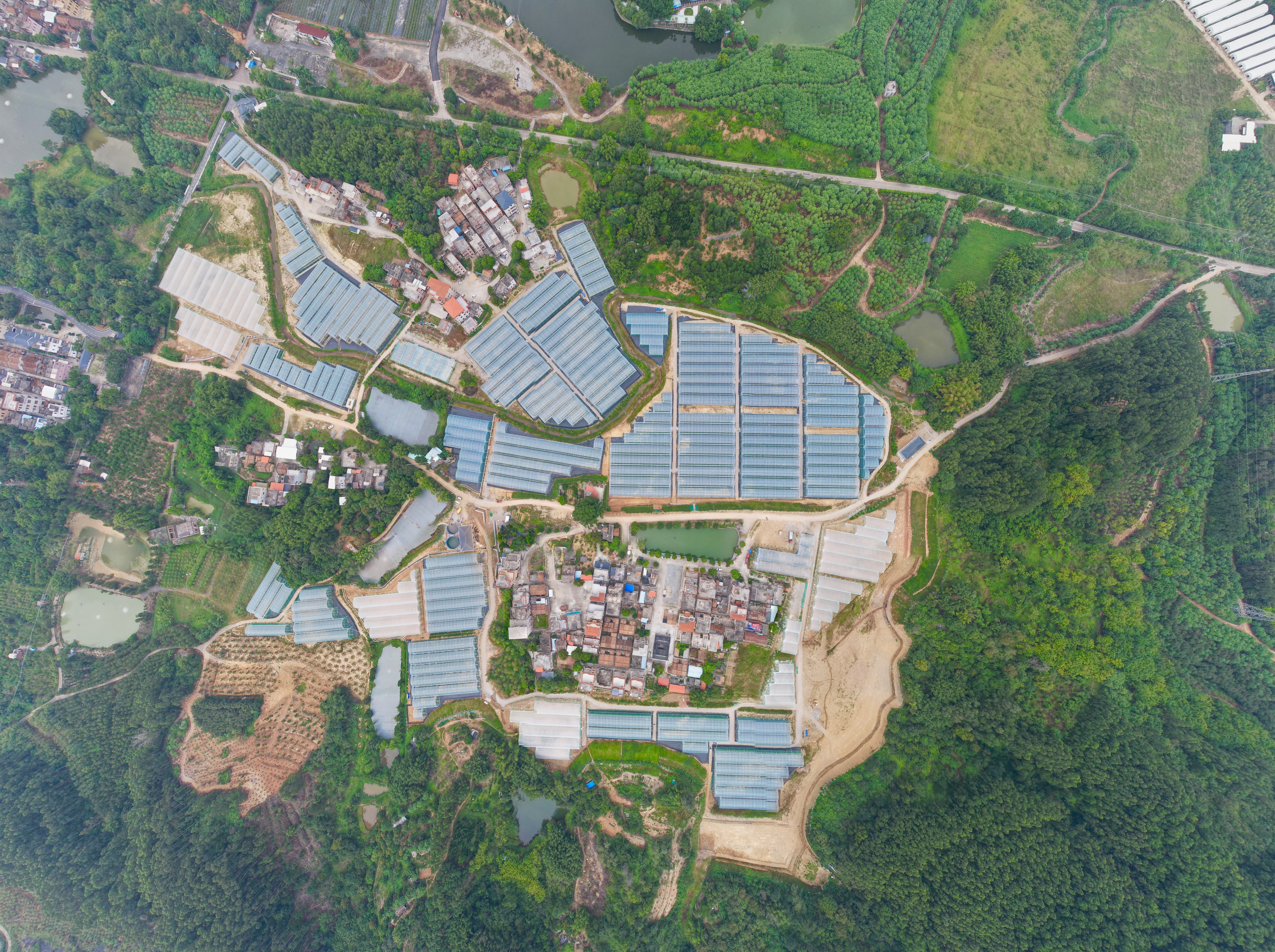 项目航拍.jpg 项目航拍.jpg