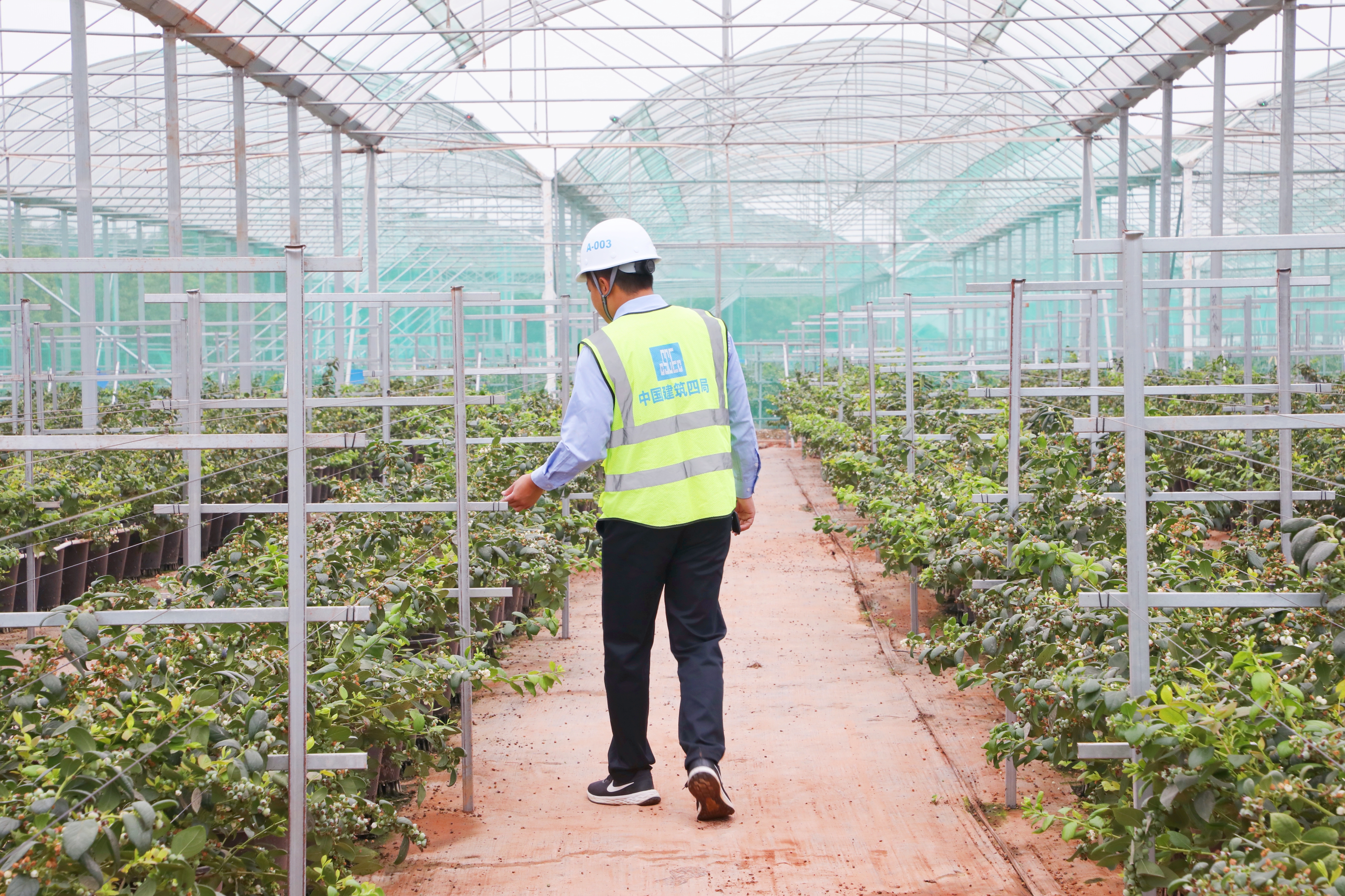 基地内部实景 (2).jpg 基地内部实景 (2).jpg