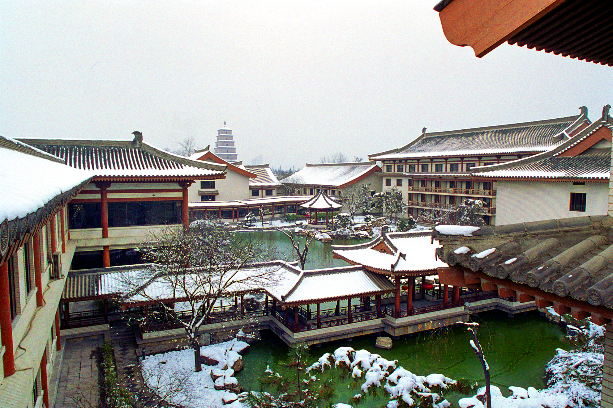 张锦秋0444.png 张锦秋0444.png